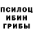 Псилоцибиновые грибы Psilocybe Hanjil Mia