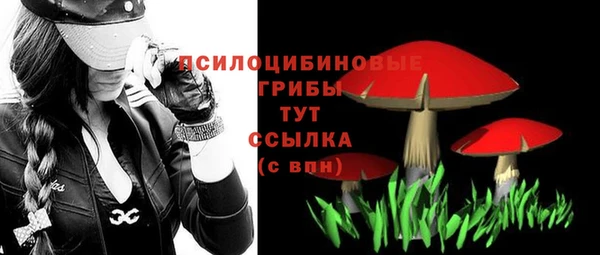 гидропоника Алзамай