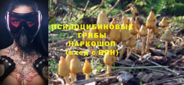 скорость Алексин