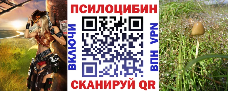 Галлюциногенные грибы ЛСД  Боготол 